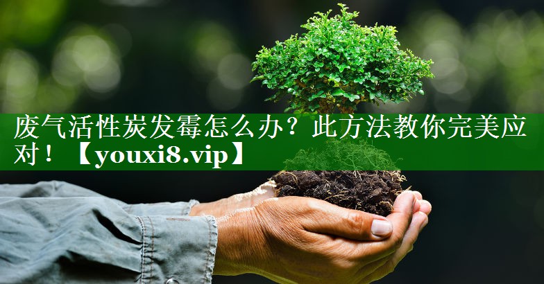 废气活性炭发霉怎么办？此方法教你完美应对！