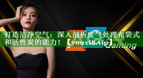 打造洁净空气：深入剖析废气处理布袋式和活性炭的能力！
