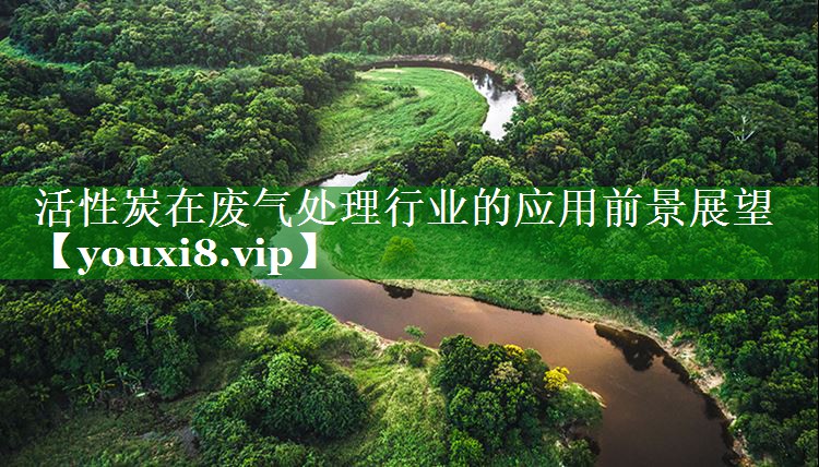活性炭在废气处理行业的应用前景展望