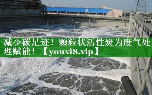 减少碳足迹！颗粒状活性炭为废气处理赋能！