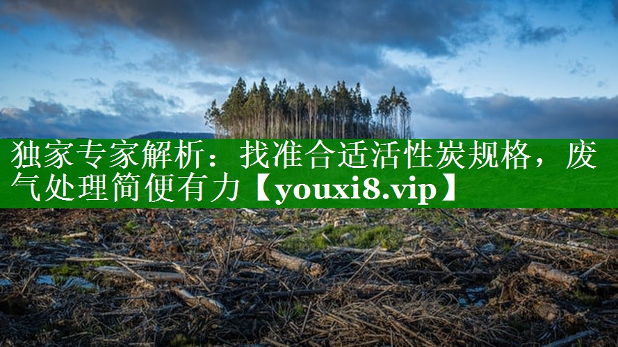 独家专家解析：找准合适活性炭规格，废气处理简便有力