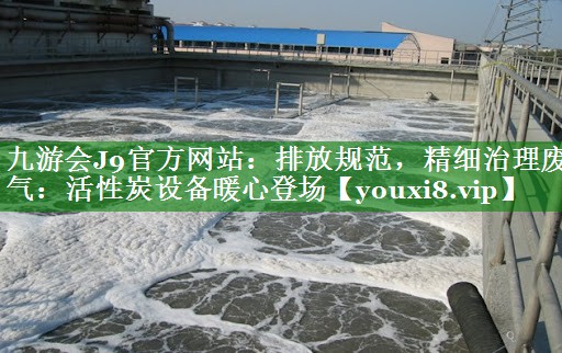 九游会J9官方网站：排放规范，精细治理废气：活性炭设备暖心登场
