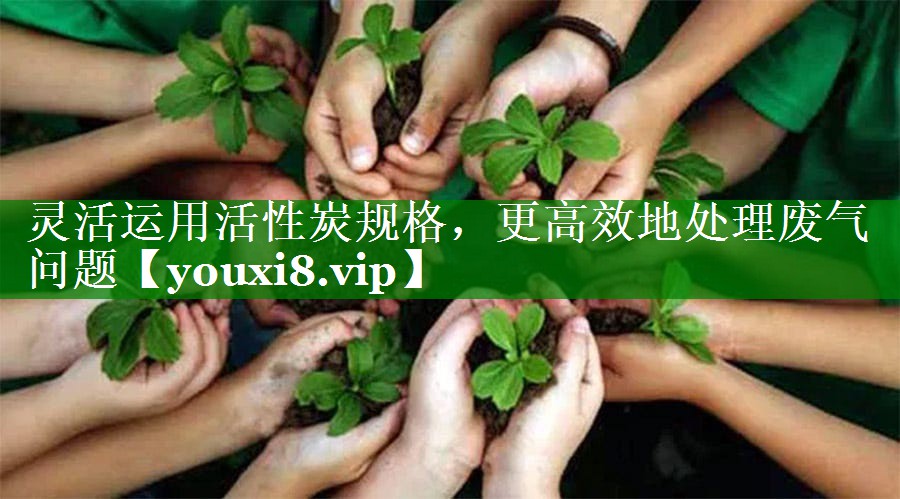 灵活运用活性炭规格，更高效地处理废气问题