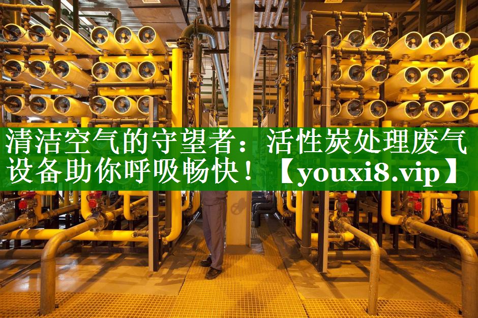 清洁空气的守望者：活性炭处理废气设备助你呼吸畅快！