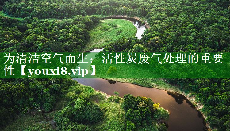 为清洁空气而生：活性炭废气处理的重要性
