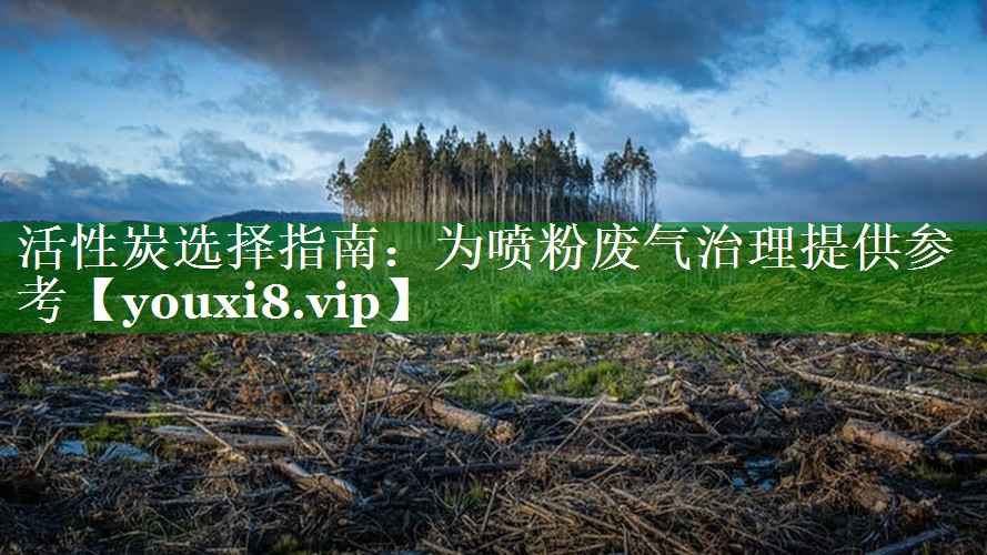 活性炭选择指南：为喷粉废气治理提供参考