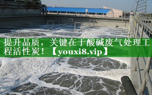 提升品质，关键在于酸碱废气处理工程活性炭！