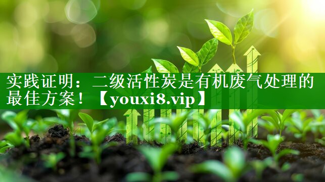 实践证明：二级活性炭是有机废气处理的最佳方案！