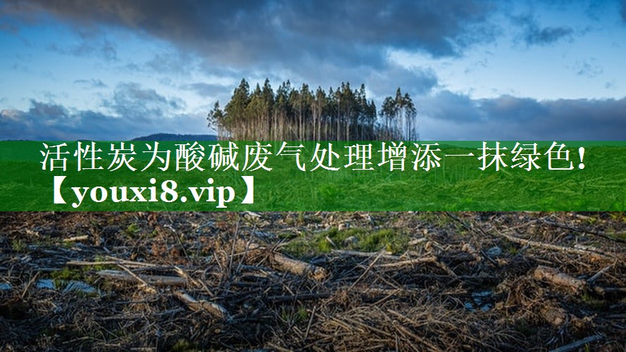 <strong>活性炭为酸碱废气处理增添一抹绿色!</strong>