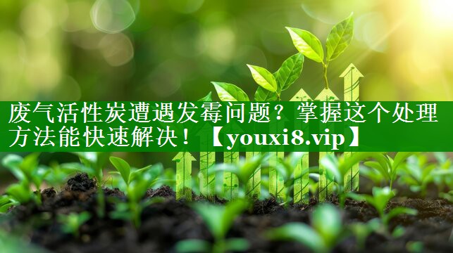 废气活性炭遭遇发霉问题？掌握这个处理方法能快速解决！