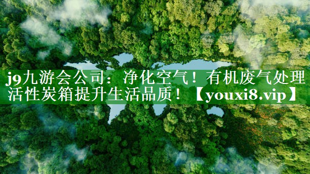 净化空气！有机废气处理活性炭箱提升生活品质！