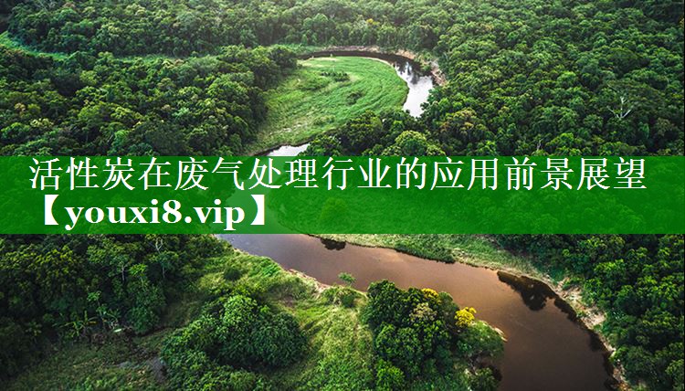 活性炭在废气处理行业的应用前景展望
