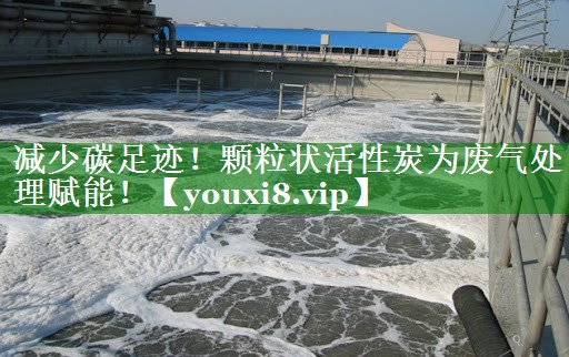 减少碳足迹！颗粒状活性炭为废气处理赋能！