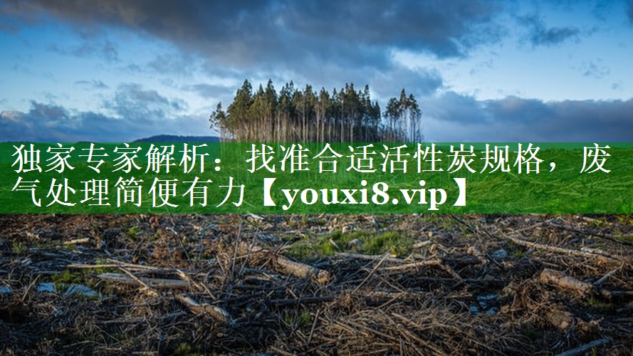独家专家解析：找准合适活性炭规格，废气处理简便有力