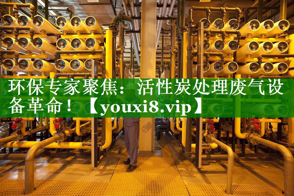 环保专家聚焦：活性炭处理废气设备革命！