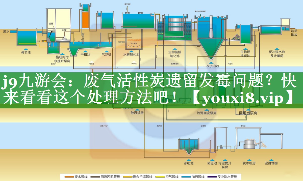 废气活性炭遗留发霉问题？快来看看这个处理方法吧！