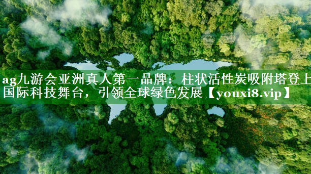 柱状活性炭吸附塔登上国际科技舞台，引领全球绿色发展