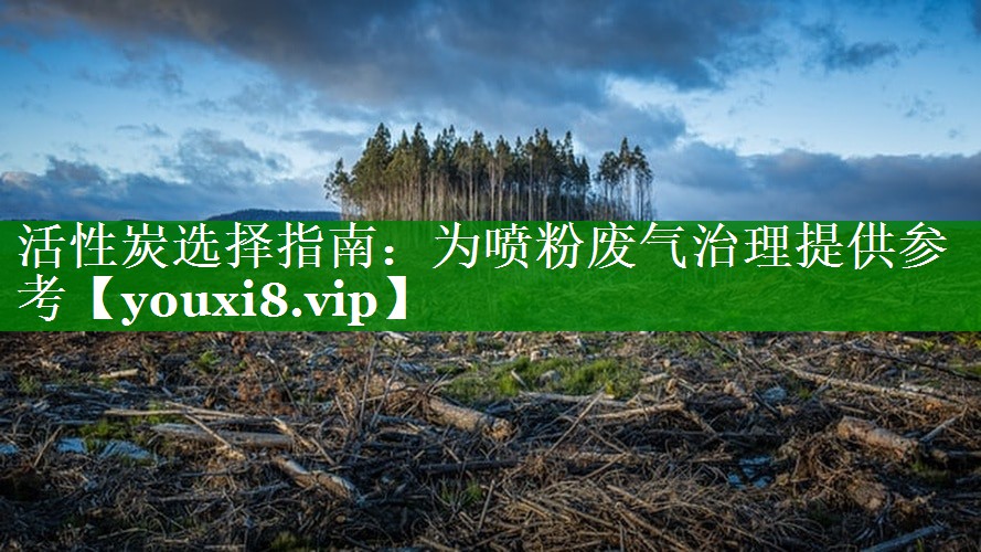 活性炭选择指南：为喷粉废气治理提供参考