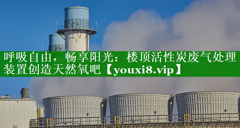 呼吸自由，畅享阳光：楼顶活性炭废气处理装置创造天然氧吧