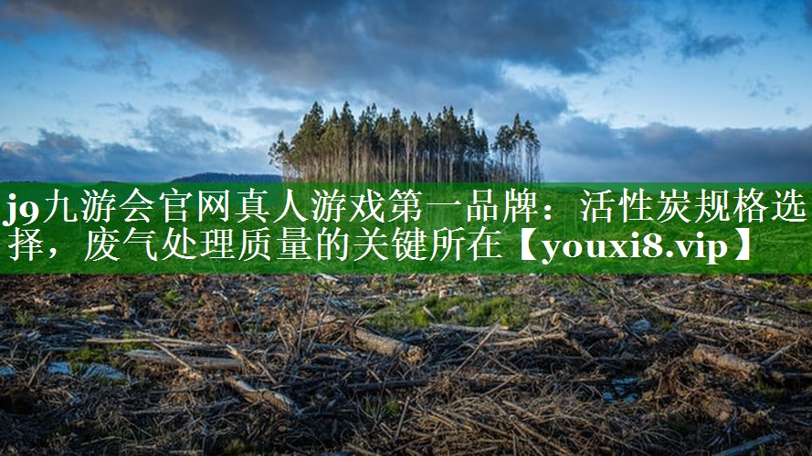活性炭规格选择，废气处理质量的关键所在