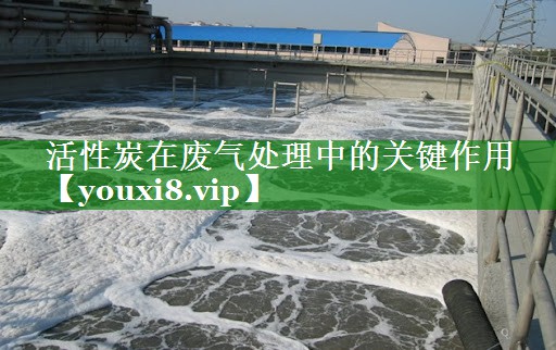 活性炭在废气处理中的关键作用